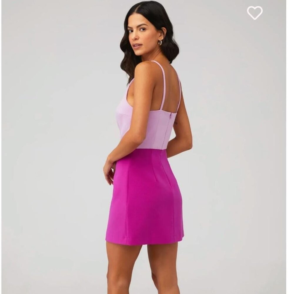 French Connection Colorblock Mini Dress